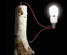 木頭電池 木頭電池