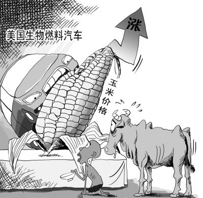 生物燃料 生物燃料